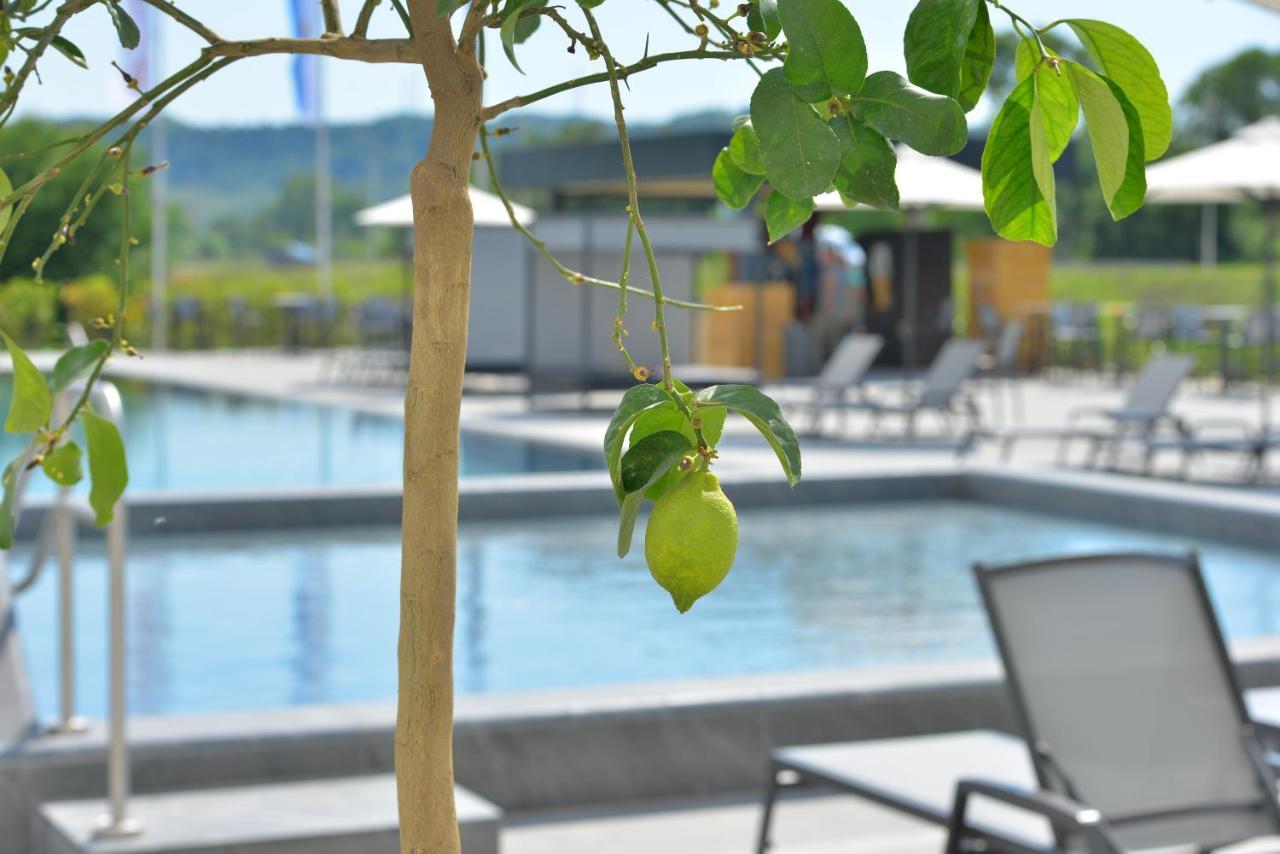Mk Hotel Tirana Rinas ภายนอก รูปภาพ The swimming pool